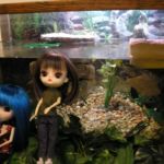 PUDDLE 2010 - Visiting Willowbrook Wildlife Center