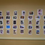 PUDDLE 2011 photo and art contest gallery