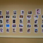 PUDDLE 2011 photo and art contest gallery