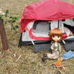 Camping by Kitty Rose