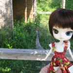 PUDDLE 2011 - visiting the cranes at Willowbrook Wildlife Center