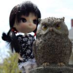 Who Gives a Hoot by Salukimom